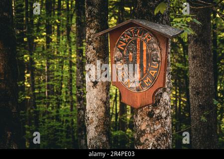 Vista dell'insegna in bronzo "Natur-Denkmal" (Monumento alla natura) della provincia dell'alta Austria a Oberösterreich, OÖ, Austria Foto Stock