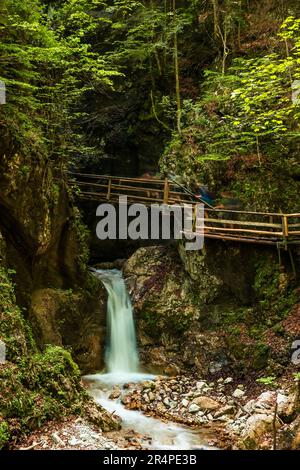 Vista degli escursionisti che si arrampicano accanto all'acqua bianca che scende giù per le rocce presso la panoramica gola del Dr. Vogelgesang-Klamm a Spital am Pyhrn, Austria Foto Stock