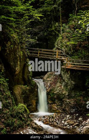 Vista dell'aspra natura selvaggia del Dr. Vogelgesang-Klamm a Spital am Pyhrn, Austria, una stretta gola con torrente selvaggio di acqua bianca che abbatte le rocce Foto Stock