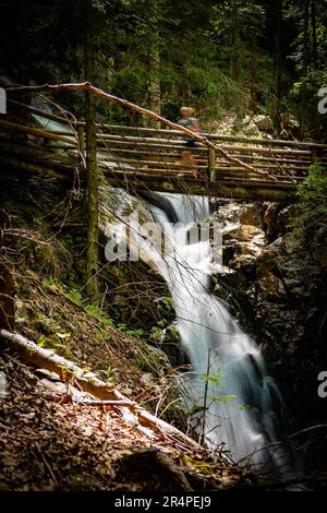 Vista di una donna che attraversa un ponte di legno sopra l'acqua bianca che scende lungo le rocce presso la gola del Dr. Vogelgesang-Klamm a Spital am Pyhrn, Austria Foto Stock