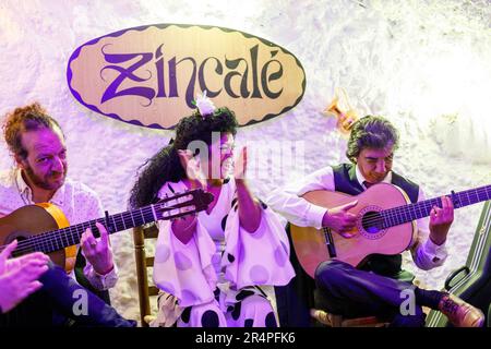 Spagna, Andalusia, Granada, cantante di flamenco e chitarristi che suonano in una grotta nel quartiere di Sacromonte. Foto Stock