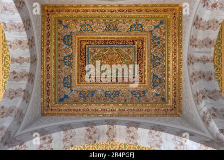 Biblioteca del Sultano Ahmed III (Biblioteca Enderun) nel Palazzo Topkapi, Istanbul, Turchia Foto Stock