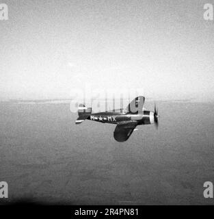 P-47D Thunderbolt Razorback - USAAF United States Army Air Force Republic P-47D Thunderbolt Razorback - WW2 / WWII - 2. Guerra mondiale sull'Europa Foto Stock