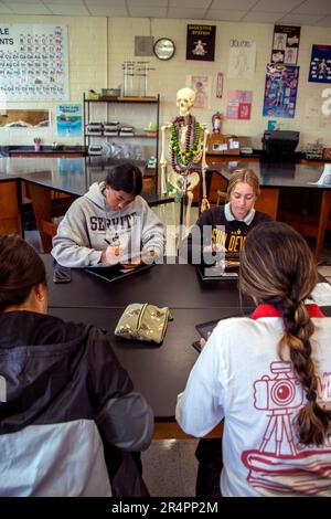 Le ragazze studentesche senior di una scuola superiore cattolica della California meridionale chiacchierano sul proprio computer portatile in una lezione di biologia. Notate lo scheletro e i logo del college Foto Stock