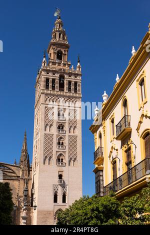 Spagna, Siviglia, Cattedrale di Siviglia, Cattedrale di Santa Maria della sede, completata nel XVI secolo ed è una delle chiese più grandi del mondo. vert Foto Stock