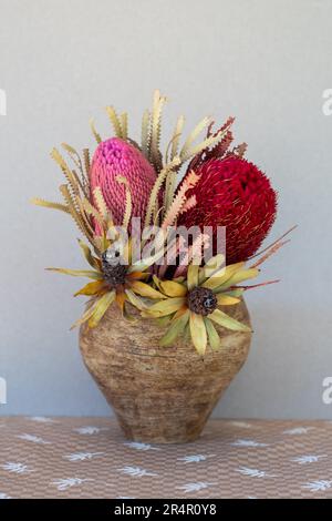 Fiori nativi australiani secchi in un vaso di ceramica costruito a mano. Foto Stock