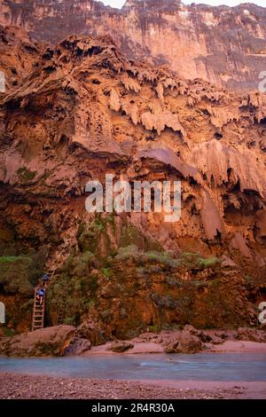 Gli escursionisti salgono le insidiose scale da Mooney Falls sul Havasu Creek sotto il campeggio in una mattinata di sole. Supai, Arizona, Stati Uniti. Foto Stock