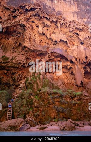 Gli escursionisti salgono le insidiose scale da Mooney Falls sul Havasu Creek sotto il campeggio in una mattinata di sole. Supai, Arizona, Stati Uniti. Foto Stock