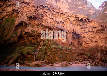 Gli escursionisti salgono le insidiose scale da Mooney Falls sul Havasu Creek sotto il campeggio in una mattinata di sole. Supai, Arizona, Stati Uniti. Foto Stock