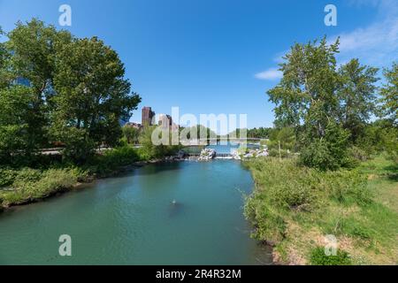 Viste panoramiche del paesaggio lungo il fiume Bow durante la primavera estiva con lussureggianti cespugli verdi, alberi e fiume di colore glaciale con un cielo blu brillante. Foto Stock