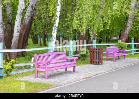 In una giornata primaverile, le bellissime panchine di legno rosa si ergono lungo un vicolo pedonale in un parco con fogliame verde giovane. Foto Stock