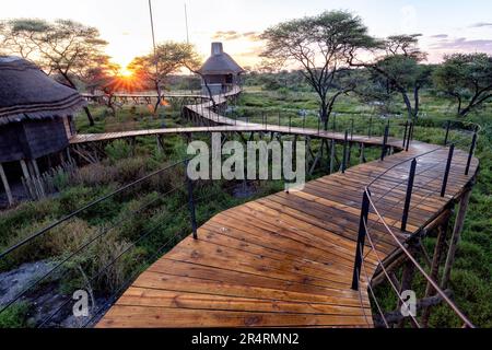 Alba al campo di Onguma Kala - Onguma Game Reserve, Namibia, Africa Foto Stock