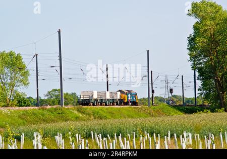 Classe 37401 Maria Regina di Scozia su un treno di tre carri per fiasche nucleari, Skelton, York, Yorkshire, Inghilterra Foto Stock