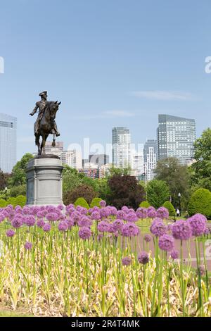 USA, Massachusetts, Boston, statua di George Washington nel Boston Common Park con fiori viola. Foto Stock