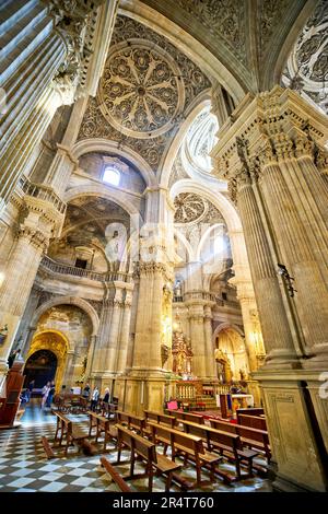 Andalusia Spagna. Catedral de Granada. Cattedrale Foto Stock