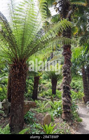 Il Fern Dell and Pets Cemetery all'angolo dei giardini formali del Monte Edgcumbe Estate sulla Rame Penisula nella Cornovaglia sud-orientale Foto Stock