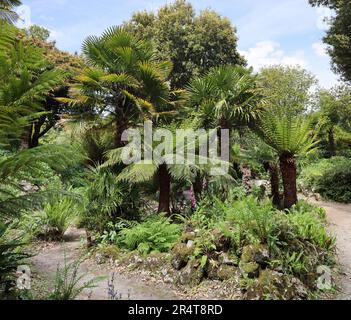 Il Fern Dell and Pets Cemetery all'angolo dei giardini formali del Monte Edgcumbe Estate sulla Rame Penisula nella Cornovaglia sud-orientale Foto Stock