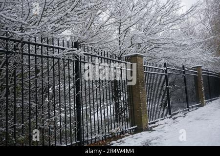 Se andate nel bosco oggi..... Attenzione!! C'e' qualcosa nella neve tra quegli alberi a Cricklewood, a nord di Londra Foto Stock