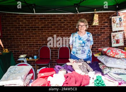 Budleigh Salterton Gala Week. Workshop della comunità. Foto Stock