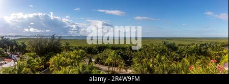 Vista panoramica della vegetazione della laguna di Nichupte su Kukulcan Avenue nella zona alberghiera di Cancun in Messico. Vegetazione tropicale dei Caraibi Foto Stock