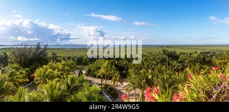 Vista panoramica della vegetazione della laguna di Nichupte su Kukulcan Avenue nella zona alberghiera di Cancun in Messico. Vegetazione tropicale dei caraibi Foto Stock