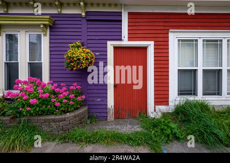 Una vibrante parete esterna in legno di legno di color viola di una casa con un cesto di fiori giallo appeso. C'è una porta rossa condivisa adiacente ad una rossa Foto Stock