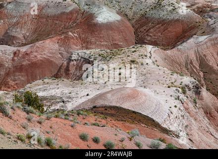 L'erosione crea modelli e 'domes', Painted Desert, Petrified Forest National Park, Apache County, Arizona Foto Stock