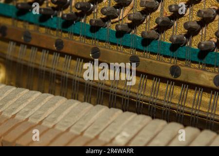 Riparazione di uno strumento musicale a corde. L'interno di un pianoforte con corde di ottone e mazzuolo di legno. Strumento musicale vecchio stile per pe Foto Stock