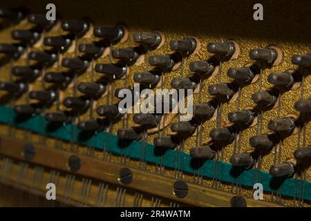 Parti interne di un vecchio primo piano - meccanica, archi. Messa a fuoco selettiva. Dettagli di uno strumento musicale dall'interno Foto Stock