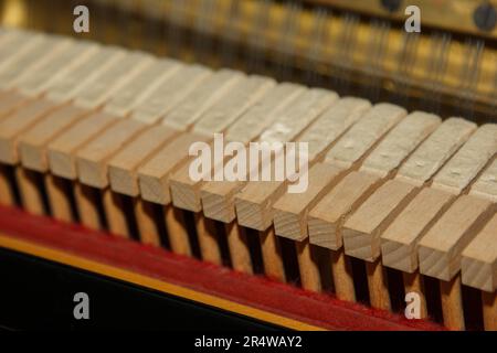 Parti interne di un vecchio primo piano - meccanica, archi. Messa a fuoco selettiva. Dettagli di uno strumento musicale dall'interno Foto Stock