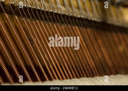 Repair of a stringed musical instrument. The interior of a piano with brass metal strings and a wooden mallet. Old fashioned musical instrument for pe Foto Stock