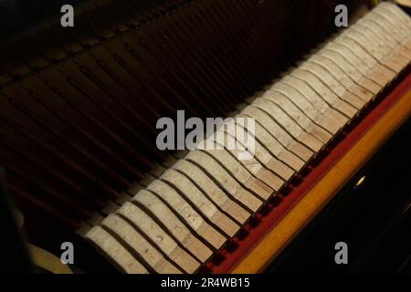 Parti interne di un vecchio primo piano - meccanica, archi. Messa a fuoco selettiva. Dettagli di uno strumento musicale dall'interno Foto Stock