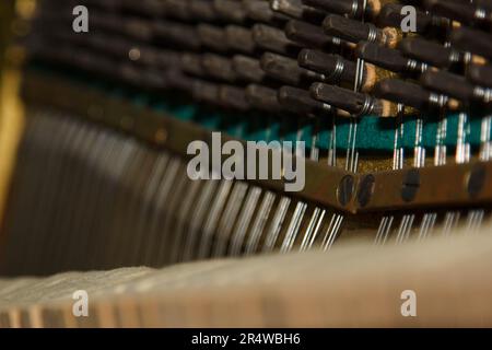 Primo piano delle parti interne di un pianoforte o di un pianoforte a coda. Messa a fuoco selettiva. Dettagli dello strumento musicale dall'interno. Martelli e corde in Foto Stock