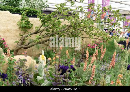 Il giardino Choose Love show a RHS Chelsea 2023 foto numero 4045 Foto Stock