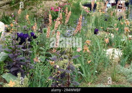 Il giardino dello spettacolo Choose Love al RHS Chelsea 2023 foto numero 4052 Foto Stock