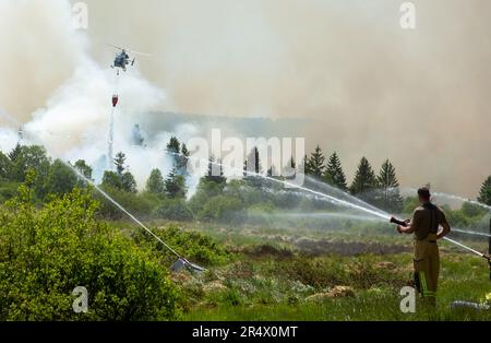 Aquisgrana, Germania. 30th maggio, 2023. I vigili del fuoco utilizzano un elicottero per cercare di estinguere un incendio di torbiera nella zona di confine tedesco-belga vicino ad Aquisgrana. L'incendio scoppiò sul lato belga nelle High Fens, la regione della città di Aquisgrana annunciato martedì. Martedì mattina, 170 ettari di superficie erano bruciati. Le persone, tuttavia, non sono state ferite. Durante il giorno, un elicottero antincendio e dei veicoli cingolati dovevano essere impiegati nella zona, che è difficile da raggiungere. Credit: Ralf Roeger/dmp-press/dpa/Alamy Live News Foto Stock