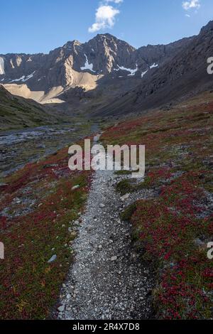 Vista autunnale del percorso escursionistico alpino delle montagne Chugach lungo il Williwaw Lakes Trail nel Chugach State Park Foto Stock