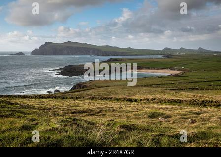 Vista costiera lungo la penisola di Dingle dell'Oceano Atlantico settentrionale verso l'Islanda; Kerry, Irlanda Foto Stock