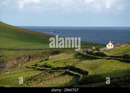 Tradizionale cottage costiero lungo la costa atlantica sulla penisola di Dingle; contea di Kerry, Irlanda Foto Stock