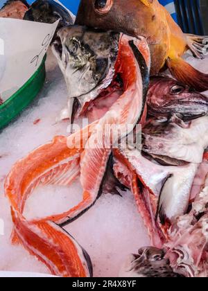 Teste di pesce in vendita in un mercato aperto di Parigi, Francia. Primo piano sulla rappresentazione degli ingredienti alimentari Foto Stock