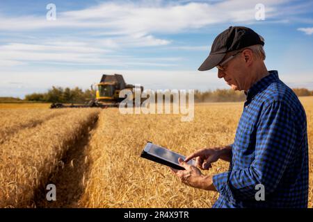 Agricoltore che utilizza un tablet per gestire il raccolto di grano con attrezzature da raccolta in background; Alcomdale, Alberta, Canada Foto Stock