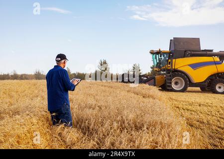 Agricoltore che utilizza un tablet per gestire il raccolto di grano con una mietitrebbia che lavora sullo sfondo; Alcomdale, Alberta, Canada Foto Stock