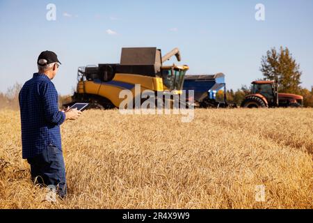 Agricoltore che utilizza un tablet per gestire il raccolto di grano con attrezzature da raccolta in background; Alcomdale, Alberta, Canada Foto Stock