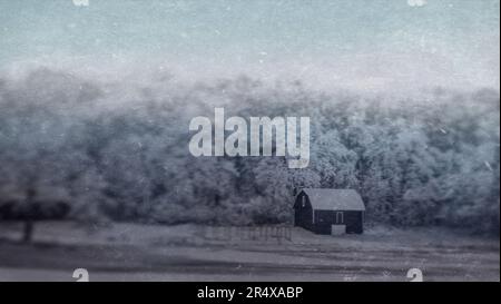 Diapositiva del modello delle risorse grafiche con alberi invernali innevati e cielo blu Foto Stock