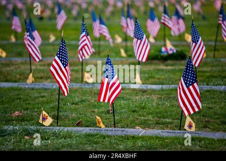 Bandiere americane piantate al cimitero nazionale di Gettysburg, Gettysburg National Historic Park, Pennsylvania, USA Foto Stock