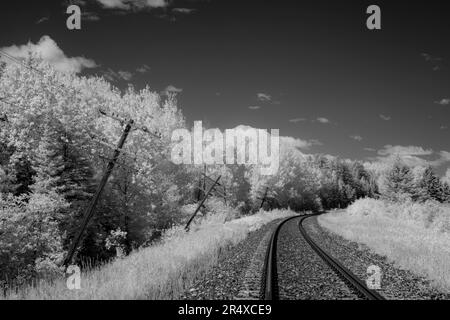 Alberi a infrarossi che costeggiano i binari dei treni; Thunder Bay, Ontario, Canada Foto Stock