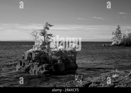 Infrarossi di alberi che costeggiano le rive del lago superiore; Thunder Bay, Ontario, Canada Foto Stock