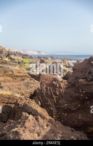 Praia de Cambelas e Praia do Baio Torres Vedras Portogallo Foto Stock