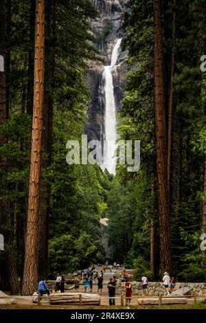 Turisti alle cascate Lower Yosemite nel parco nazionale di Yosemite, California, Stati Uniti; California, Stati Uniti d'America Foto Stock