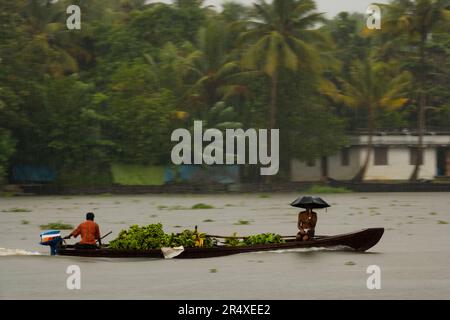 Uomini che viaggiano in canoa lungo un fiume sotto la pioggia; Kerala State, India Foto Stock